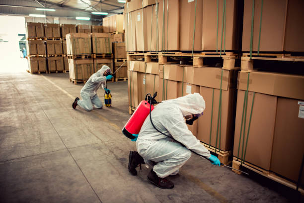 Wasp Removal Services in Godley, TX