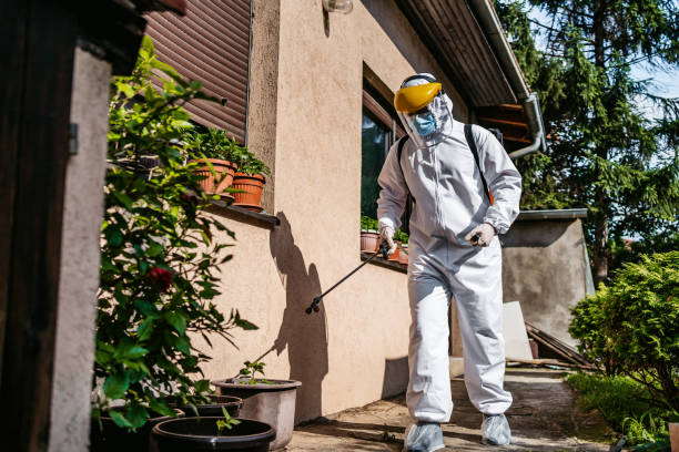 Trusted Godley, TX Pest Control Experts