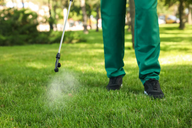 Best Best Pest Control Companies  in Godley, TX