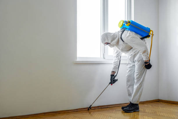 Best Pest Removal Services  in Godley, TX