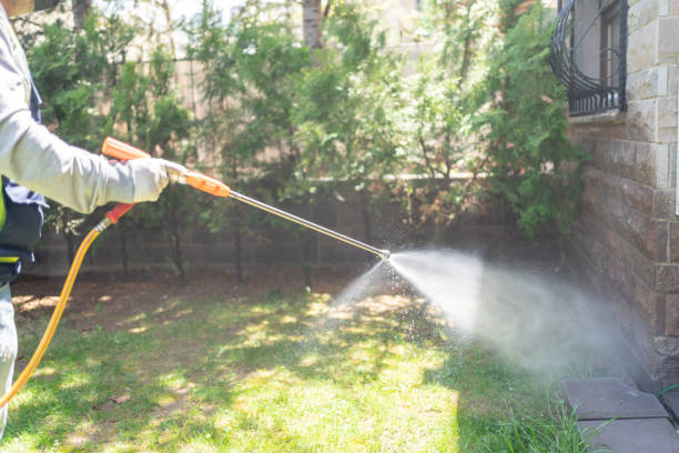 Best Residential Pest Control  in Godley, TX