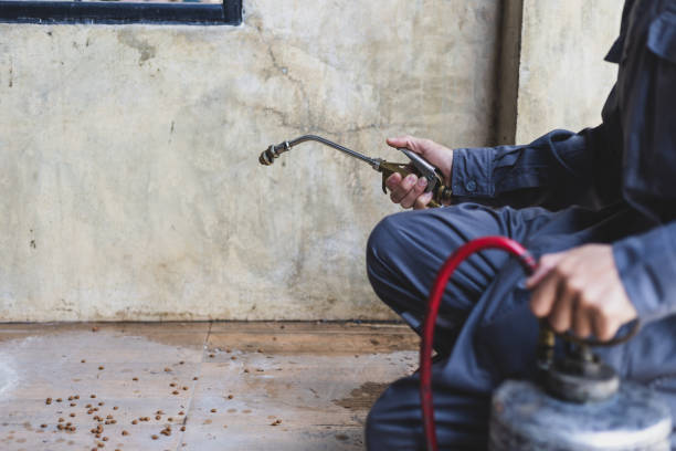 Best Local Pest Control Services  in Godley, TX